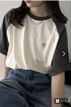 タグ付新品　Discoat ARTラグランTシャツ