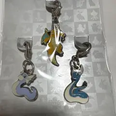 ポケモン　全国ずかん　メタルチャーム
