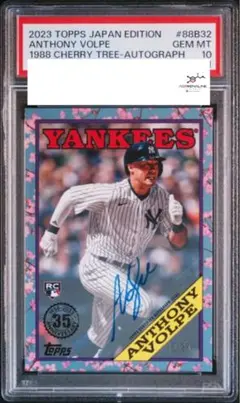 【PSA10】アンソニー ヴォルペ CHERRY TREE-AUTOGRAPH