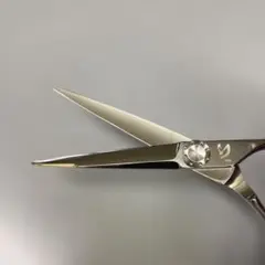 Item thumbnail for item 2e476e46-c4cc-4410-bcec-1ad46d4cffe6