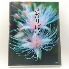 さがりばな 横塚 眞己人 9784062168328
