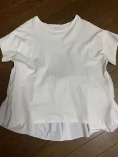AMERICAN HOLIC バックフリルカットプルオーバー M