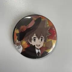 家庭教師ヒットマンREBORN! 怪盗団　沢田綱吉　缶バッジ