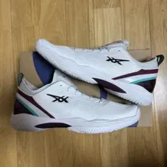 グライドノヴァff2 26.5cm