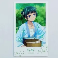 猫猫②　イラストカード　水遊び　マルイ　神戸　薬屋のひとりごと