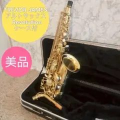美品Trevor James Cantabile Ⅱ ケース付き 2025年最新】Trevor jamesの人気アイテム - メルカリ