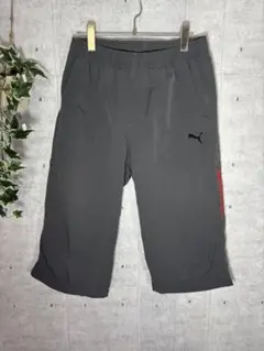 プーマ Puma ハーフパンツ クロップドパンツ グレー スポーツ 古着 メンズ