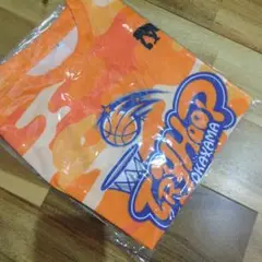 Item thumbnail for item 8fb1c119-5a6a-40c1-868a-7de36f3192e3