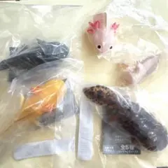 Item thumbnail for item b6edb839-4b2a-43ef-b62f-5bfa9f8698f6