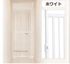 Item thumbnail for item 9d0947f5-8b04-4602-a3da-0edf65e41b81