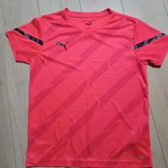 PUMA ピンク Vネックシャツ 140