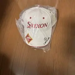 Item thumbnail for item 1cb8aee7-df34-4187-8c4d-54ef6173782d