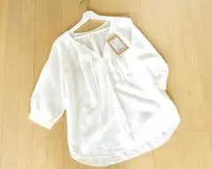 Item thumbnail for item 699175c6-dc2e-461a-a633-ca68515ebead