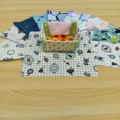 ★B125★ カットクロス/プリント生地/国産/25cm×25cm/10点