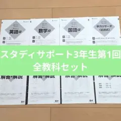 記述模試まとめ売り　8回分 2025年最新】駿台 記述 模試の人気アイテム - メルカリ