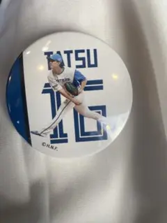 北海道日本ハムファイターズ 達孝太 ブラインド缶バッジ