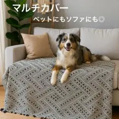 【新品未使用】北欧風 大判マルチカバー 白×ネイビーフリンジ ベッド/ソファ兼用