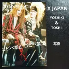 【美品】X JAPAN YOSHIKI TOSHI 生写真