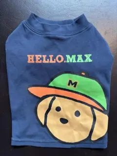 Item thumbnail for item 6347d03b-b62a-4ef1-94a8-8c82fd080c3e