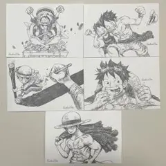 ワンピース　ルフィ　ポストカード　セット