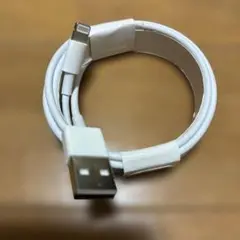 Lightningケーブル USB端子 ホワイト