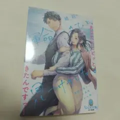 運命のひと、見つけました。 敏腕弁護士とめちゃ高速しあわせ婚!?