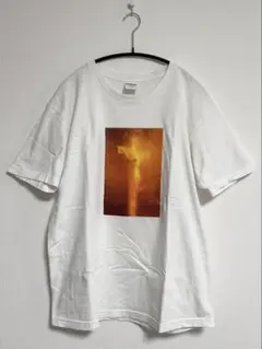 Supreme Piss Christ Tee 2017FW USA製 サイズM