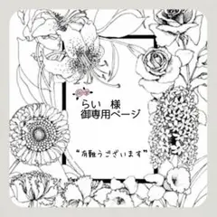 ₊✼̥୭*ˈ らい 様 御専用ページ ₊✼̥୭*ˈ