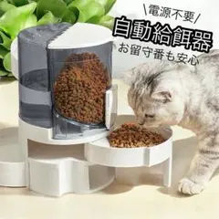 Item thumbnail for item bd0ba442-1a50-4d0c-8609-3a97ecf44d65