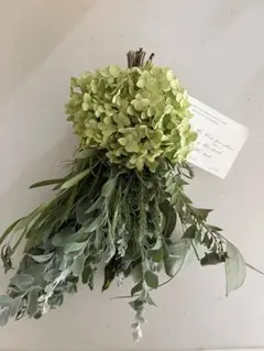 アナベル　紫陽花　ユーカリ　ポポラス ローズマリー　スワッグ　ドライフラワー