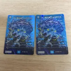 水上第九院 シャコガイル 2枚