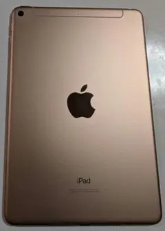SIMフリー　iPad mini5 64G ゴールド