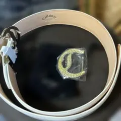 Item thumbnail for item c4cb504e-de01-4f07-a3ca-dfb1b7b5956d