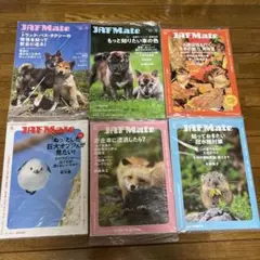 JAF Mate 未開封セット