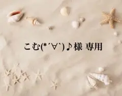 こむ(*´∀`)♪様 リクエスト 2点 まとめ商品