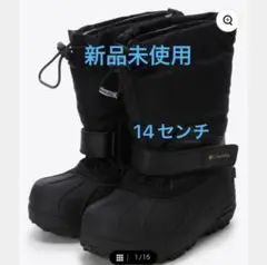 Item thumbnail for item 9dbc1ebc-039d-4207-952d-1ddeff1b3986