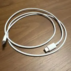iPhone 充電器