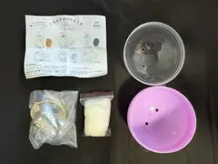【正規品】うちの子のけだまだま　シャム