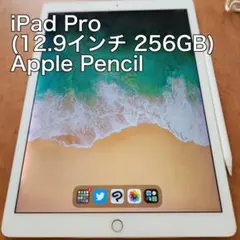 iPad Pro 256GB Wi-Fi + Apple Pencil