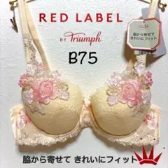 B75トリンプ プレミアム レッドレーベル0079 ブラ単品