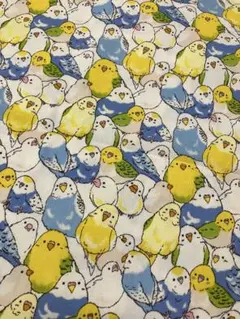 セキセイインコ 文鳥　オックス生地　1m