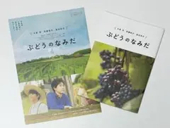 映画【ぶどうのなみだ】パンフレット、フライヤー／大泉洋、安藤裕子、染谷将太