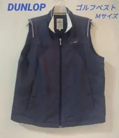 Item thumbnail for item 57e0aabe-eea3-4bc7-bd22-fdc982af8dbd