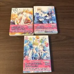 BL 小説 まとめ売り