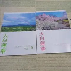 【希少品】 大白蓮華 昭和37年 雑誌 創価学会 12冊セット 61r+uXNzzLL._UF350,350_QL50_.jpg