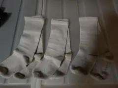 Item thumbnail for item aa658a25-024e-4a6c-a95f-027fde9b0a3e