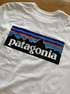パタゴニア　ユニセックス　Tシャツ　メンズサイズS レディースだとM〜L位