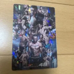 最安値！　RIZINポテトスティック ポスターカードコレクションRIZIN.48