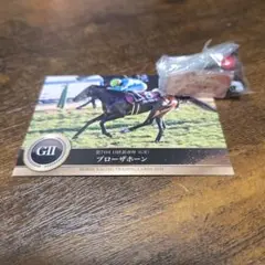 日経新春杯　ブローザホーン