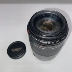 Item thumbnail for item 1aedfdfc-96f4-47aa-9fc3-ddb0647013f8